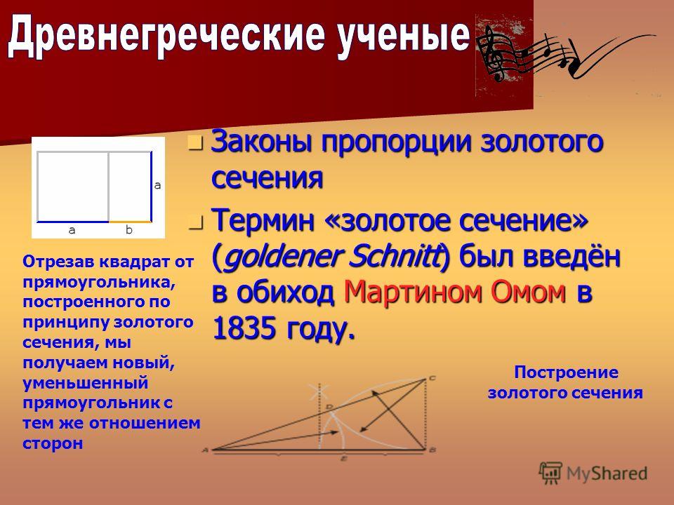 Золотая пропорция