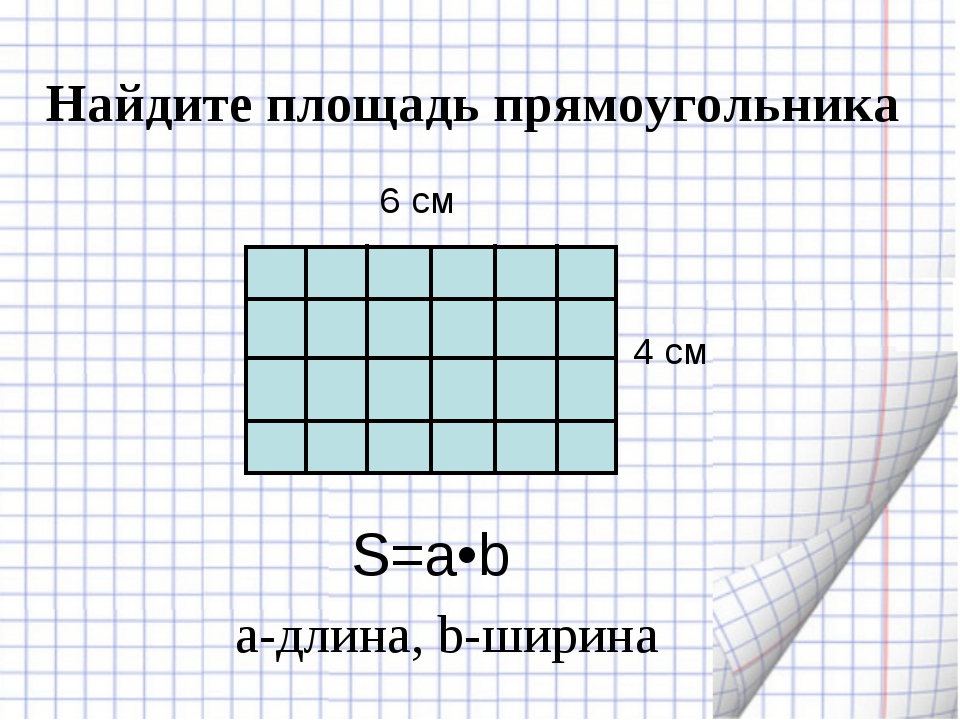 Как найти площадь схема