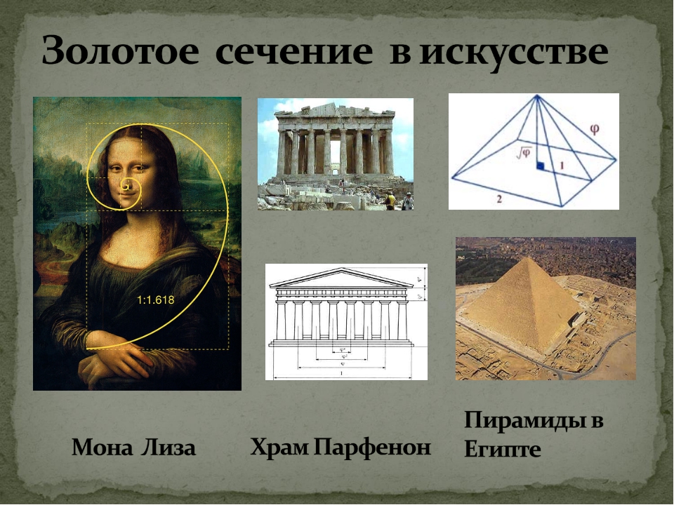 Математика золотая пропорция проект