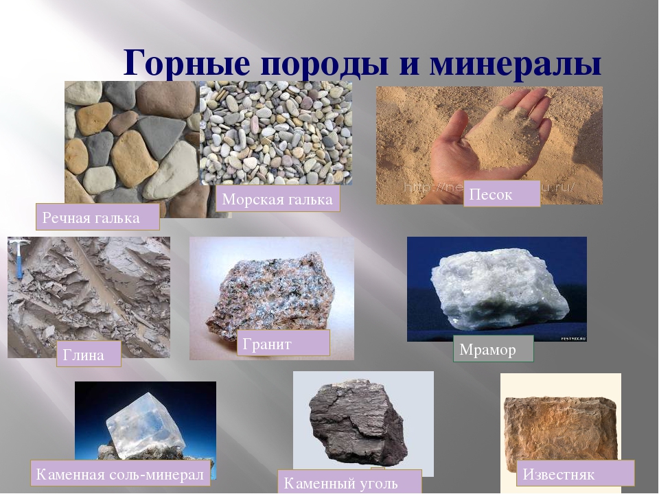 Какие горные породы вы знаете 5 класс. Горные породы и минералы. Минералы и горные полрод. Образцы горных пород. Минеральные горные породы.