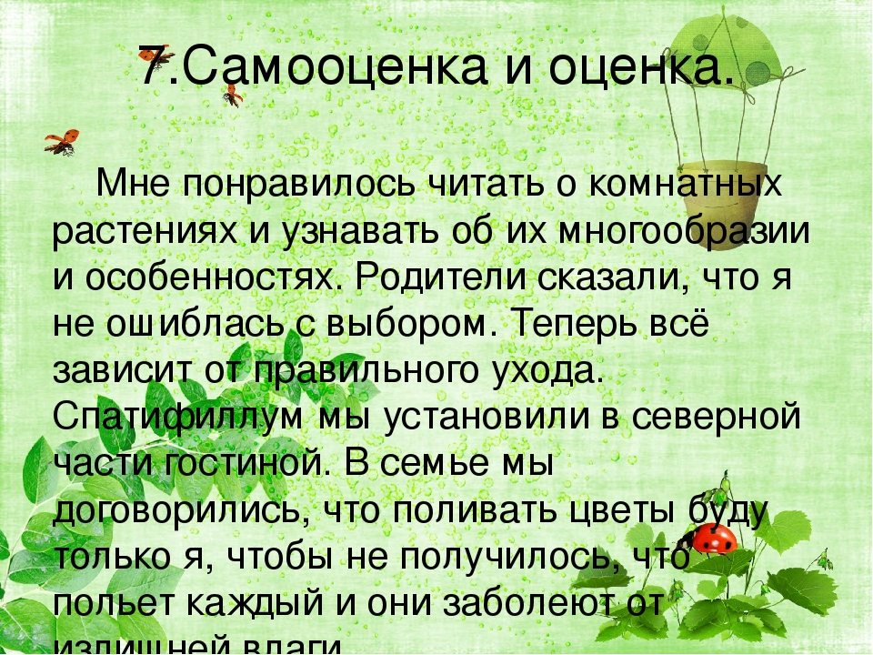 Проект 6 класс по технологии для девочек комнатные растения