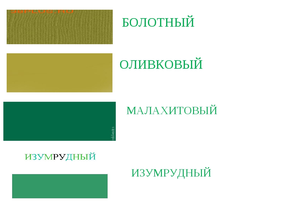 Цвет олива это какой цвет фото