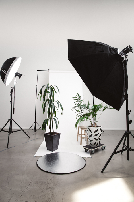 A photography studio set up with lights and plants infront of a white backdrop