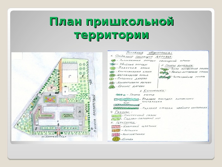 План проекта 8 класс география