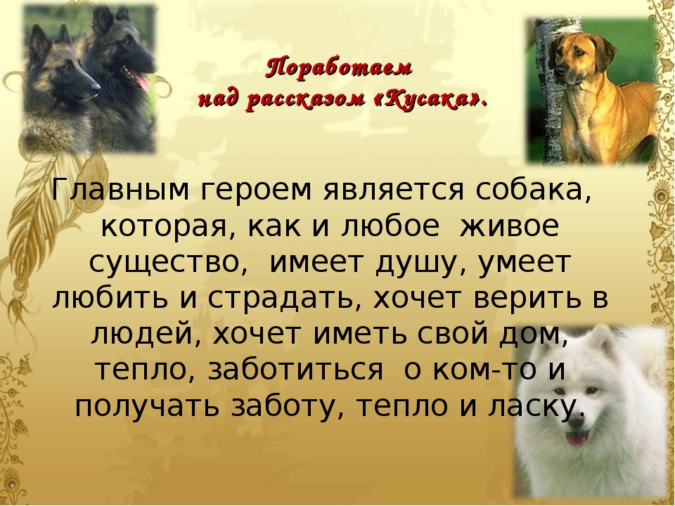 Произведения про собак. Л Н Андреев кусака. Собаки в литературных произведениях. Рассказ о собаке.