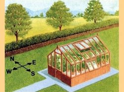 Установка теплиц по сторонам света важна и актуальна среди садоводов и огородников