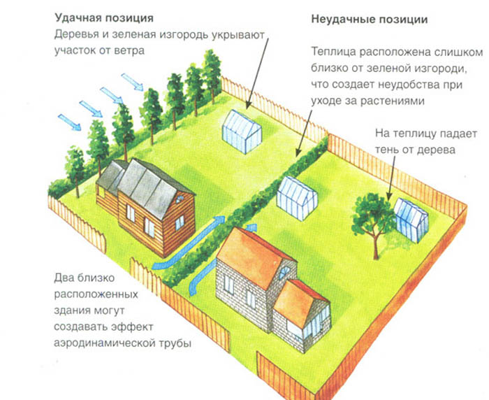 При ориентации строения относительно сторон света садовод обязательно учитывает рядом находящиеся постройки и деревья