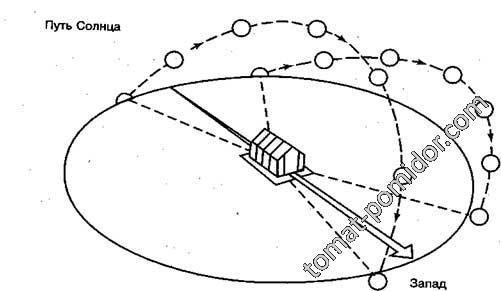 Расположение теплицы на участке по сторонам света схема