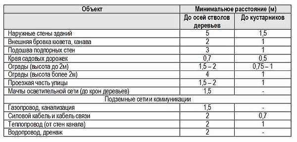 Согласие родителей на видеосъемку ребенка в школе